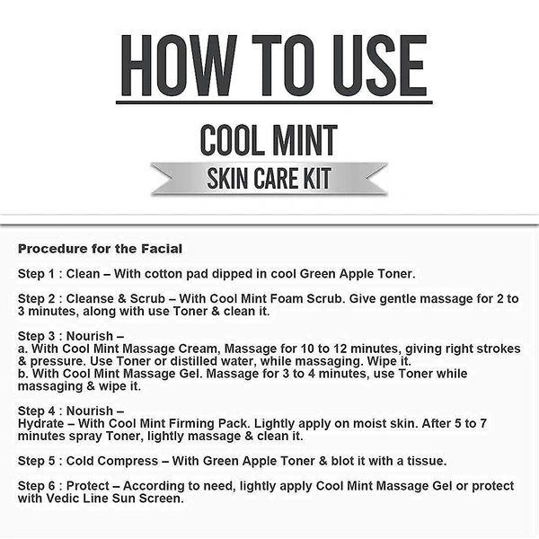 Vedic Line Cool Mint Facial Kit 400ml | Soothing Skincare Treatment | Reduce Tan & Dead Skin | For a Radiant Glow| Keep Skin Cool, Refreshed & Glowing