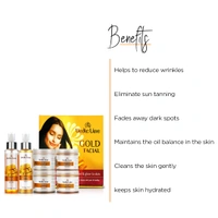 Vedic Line Vedicline Gold Ojas Facial Kit | Rejuvenating Gold Facial for Glowing Skin | Keep Skin Pure & Healthy | Saffron & Gold Dust for Golden Glowing Skin, 600ml