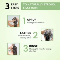 Wella Professionals Elements Sulfate-Free Renewing Shampoo 250ml | Gentle, Nourishing Shampoo for Dry & Damaged Hair | Restores Moisture & Softness| Color-Safe Formula.