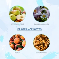 Wottagirl Mystic Island 135ml Body Spray for Women - Long-Lasting Fragrance