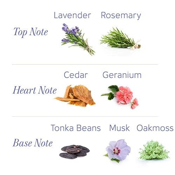 Yardley London English Lavender Perfumed Talc (100g) for Women|Soothing Fragrance & Odor Protection