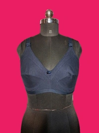 Nice Beauty Premium Lingerie Alia Hosiery Bra - Mix colour, 38