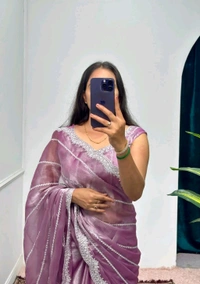Burbary Jimmy Choo Fabric Embroidered Work Saree* - Rosy Brown