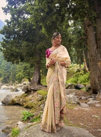 Saree For Women Heavy Jimmy Choo fabric multi embroidery threads,coding and sequence $ fancy cutwork in work with piping border (Beige) - Beige, Free Size