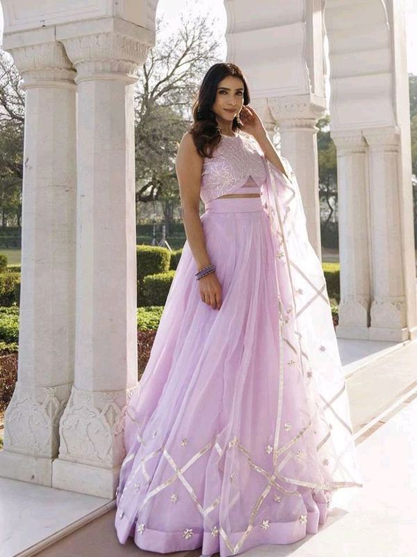 Embroidered Organza Ready to Wear Lehenga & Blouse With Dupatta - Pink Lace, XL