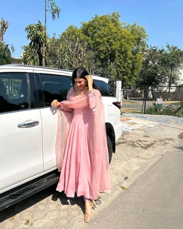Delightful Light Pink Anarkali Gown With Net Dupatta - Black, XL