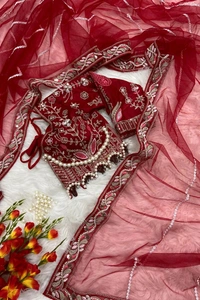 Party Wear Butterfly Net Moti Saree - Japanese Maple, Free Size