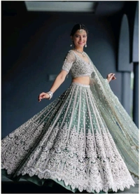 Embroidered Semi Stitched Lehenga Choli(Light Green, Silver) - Free Size