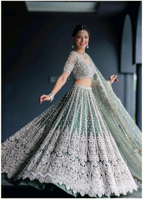 Embroidered Semi Stitched Lehenga Choli(Light Green, Silver) - Free Size
