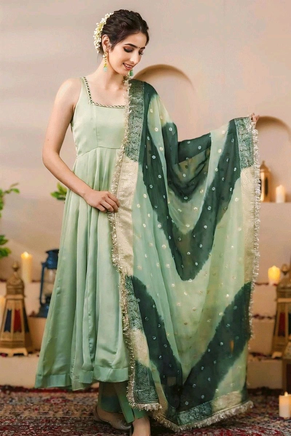 Pista Color Long Gown For Mehendi Rasam - Norway, XXL