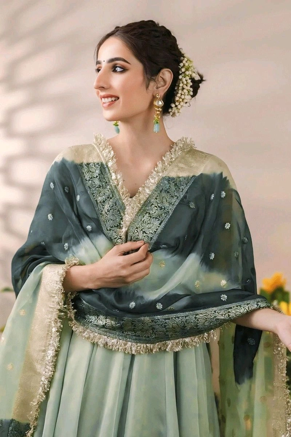 Pista Color Long Gown For Mehendi Rasam - Norway, XXL