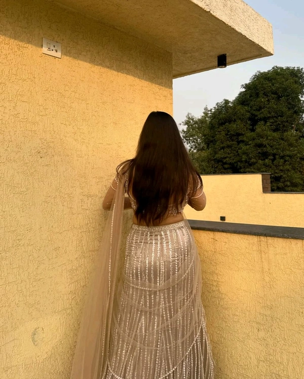 Ethereal Peach Net Saree With Pearl & Katdana Handwork
 - Just Right, Free Size