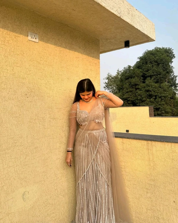 Ethereal Peach Net Saree With Pearl & Katdana Handwork
 - Just Right, Free Size