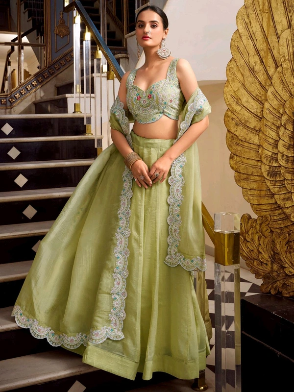Incredible Pista Green Sequins Work Organza Party Wear Lehenga Choli - Blue Dianne, Free Size