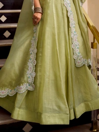 Incredible Pista Green Sequins Work Organza Party Wear Lehenga Choli - Blue Dianne, Free Size