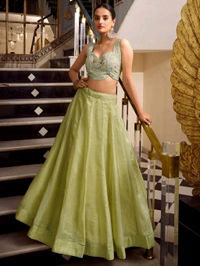 Incredible Pista Green Sequins Work Organza Party Wear Lehenga Choli - Desert Sand, Free Size