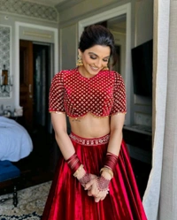 Red Velvet Canvas Work Bridal Lehenga - maroon, Free Size