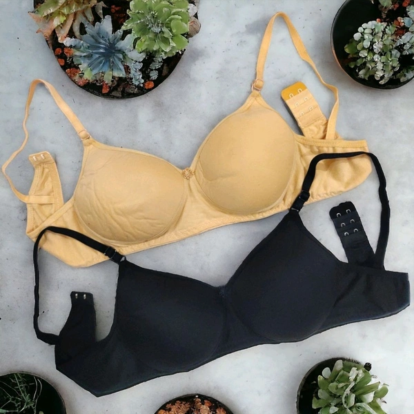 Pack of 2 Women T-Shirt Lightly Padded Bra (Multicolor) - Black::Golden, 34B
