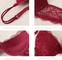 Bra & Panty Set Embroidered Black Lingerie Set - Rosewood, 40A