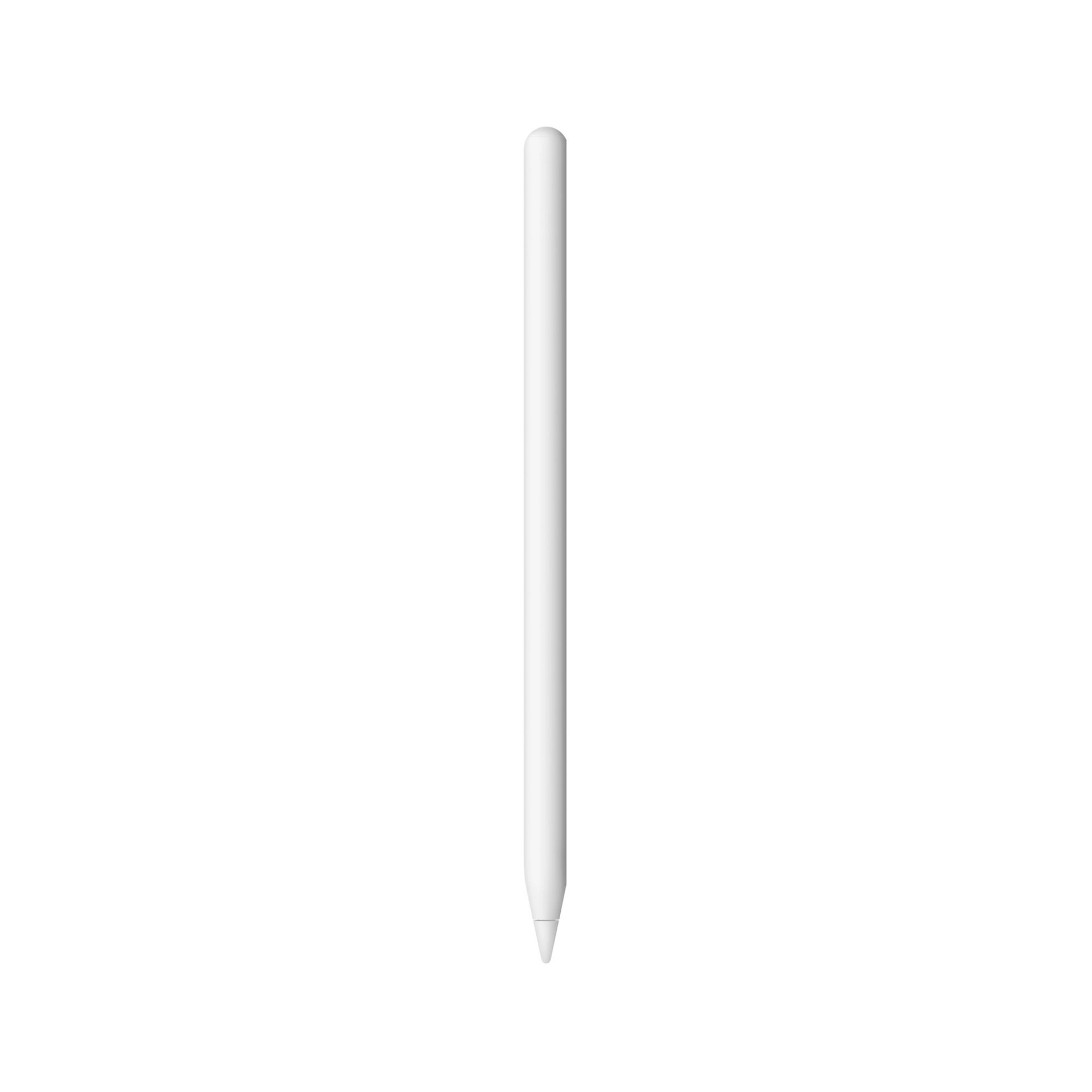 iPad Pro 第二世代256GB + Apple Pencil2 Apple Pencil (2nd Generation)