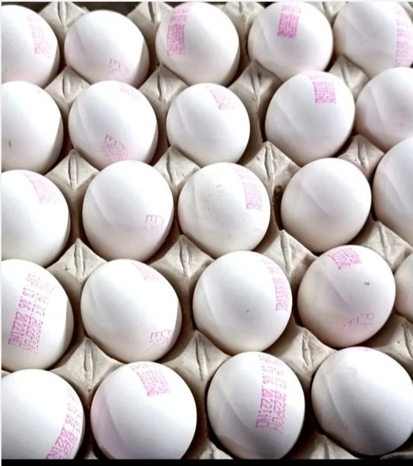  EGGS  WHITE POULTRY EGG TRAY 30 PCS  - 30PCS