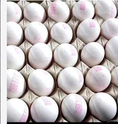 EGGS