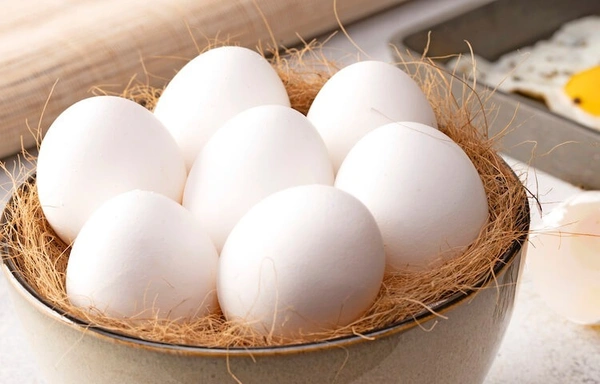  EGGS  WHITE POULTRY EGG TRAY 30 PCS  - 30PCS