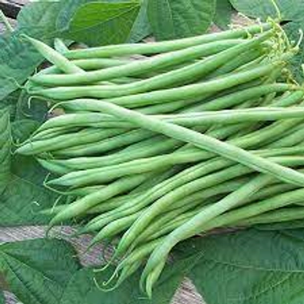 Beans - 500g