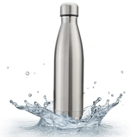 Stainless Steel Bottle 500ml - 
