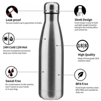 Stainless Steel Bottle 500ml - 