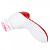 Face Massager - 6 in 1