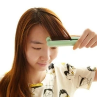 Mini Portable Electronic Hair Straightener and Curler