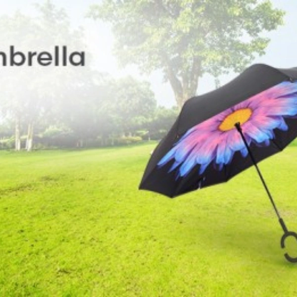C Handle Umbrella (Reverse Umbrella)