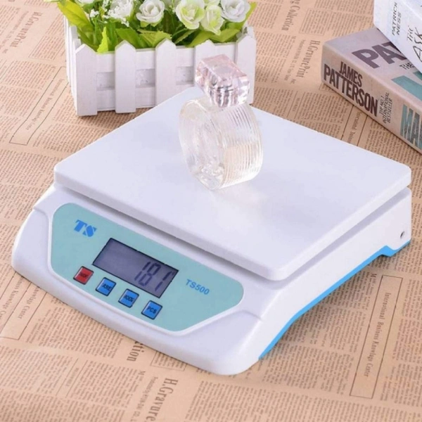 Electronic Compact Scale (TS 500)