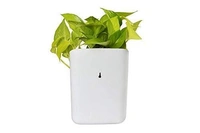 Plastic Vertical Hanging Planter Pot (Multicolour)