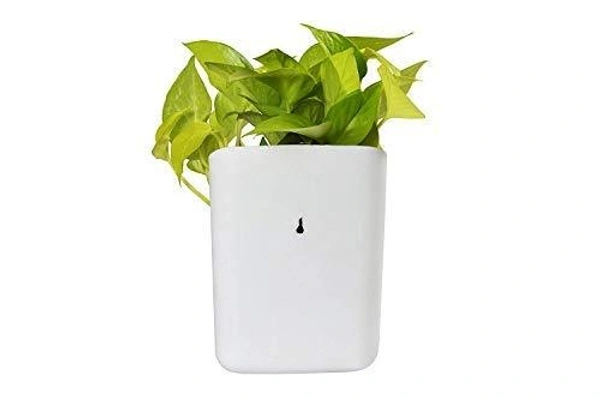 Plastic Vertical Hanging Planter Pot (Multicolour)