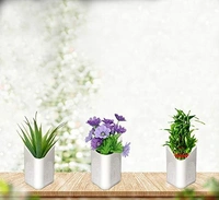Plastic Vertical Hanging Planter Pot (Multicolour)
