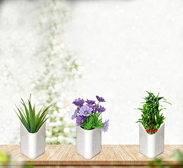 Plastic Vertical Hanging Planter Pot (Multicolour)