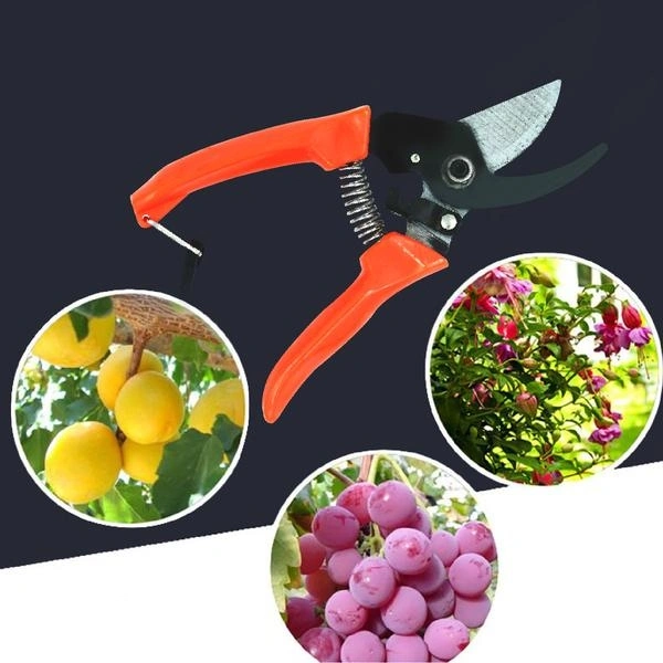 Garden Shears Pruners Scissor