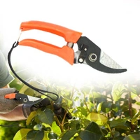 Garden Shears Pruners Scissor