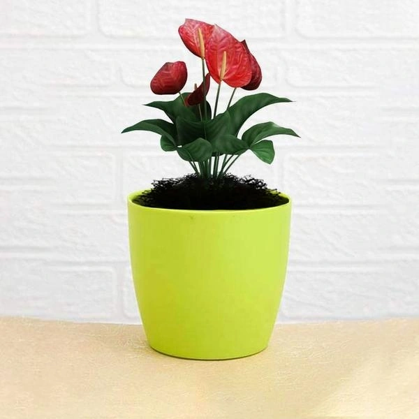Flower Pots Round Shape For Indoor/Outdoor Gardening