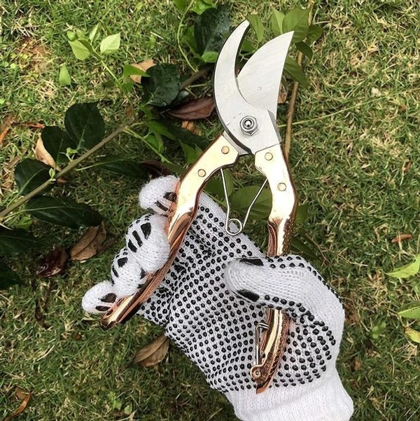 Garden Shears Pruners Scissor