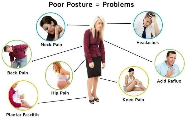Adjustable Royal Posture Back Support Brace Unisex