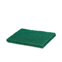 Scrub Sponge Cleaning Pads Aqua Green 10PCS - ⛔ut of Stock