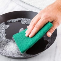 Scrub Sponge Cleaning Pads Aqua Green 10PCS - ⛔ut of Stock