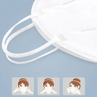 7216 N95 Reusable and Washable Anti Pollution/Virus Face Mask (1Pc)