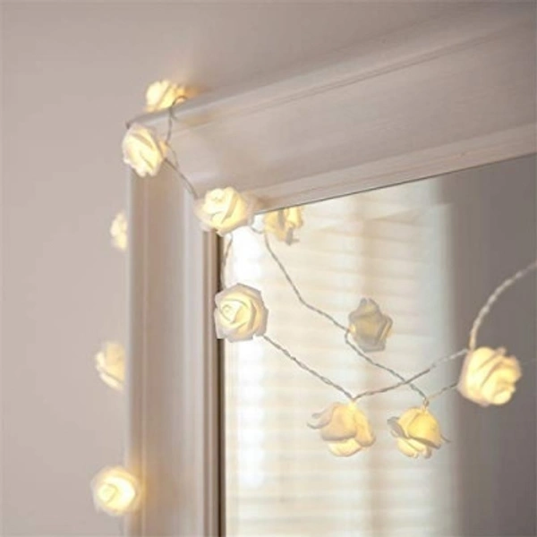 Rose Flowers Direct Plug Light
