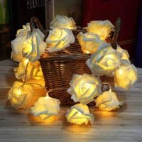 Rose Flowers Direct Plug Light