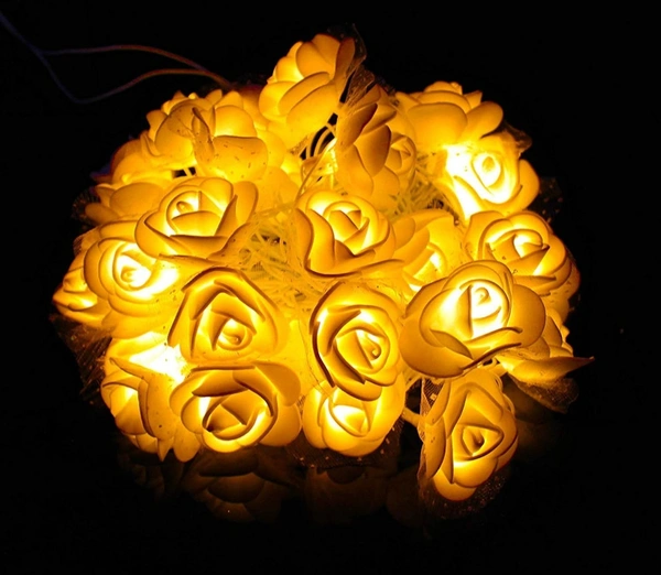 Rose Flowers Direct Plug Light