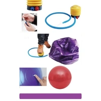 0580 ANTI-BURST GYM BALL WITH PUMP (75 CM), Yoga Training Ball